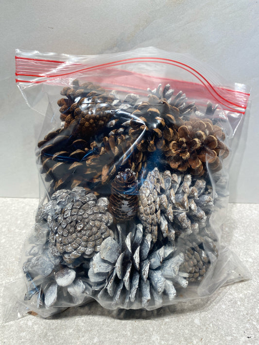 Pinecones