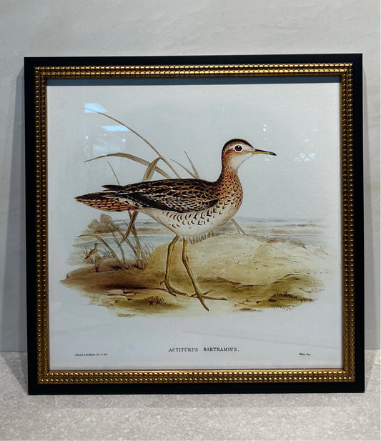 Duck Wall Decor
