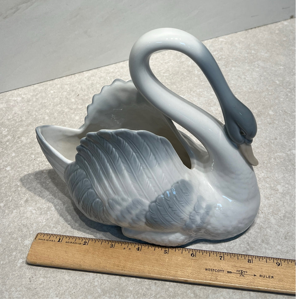 Nao Swan
