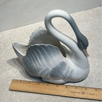 Nao Swan