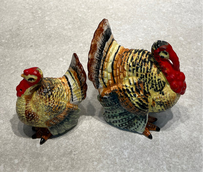 Turkey S + P