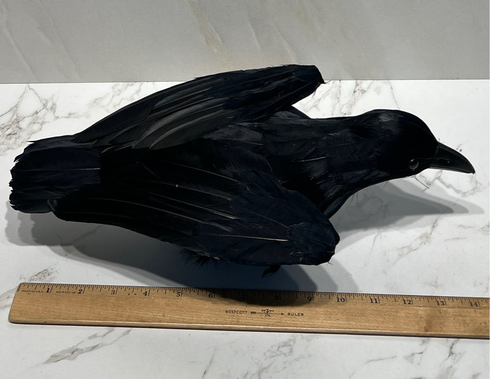 Raven