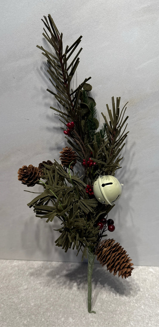 Christmas Pic