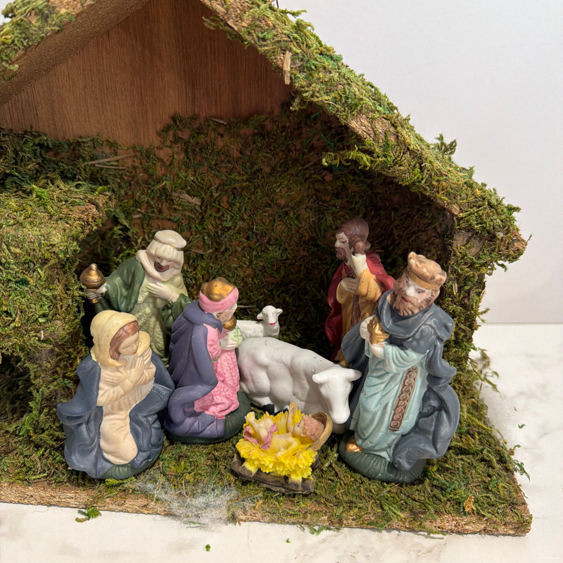 Nativty Scene With Creche