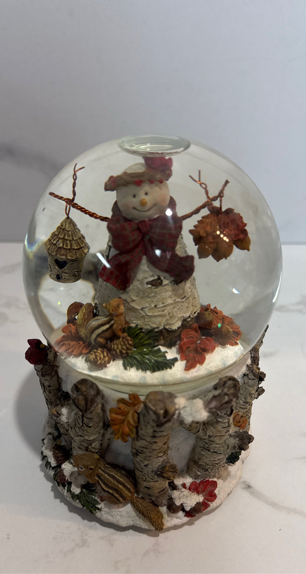 Snowglobe