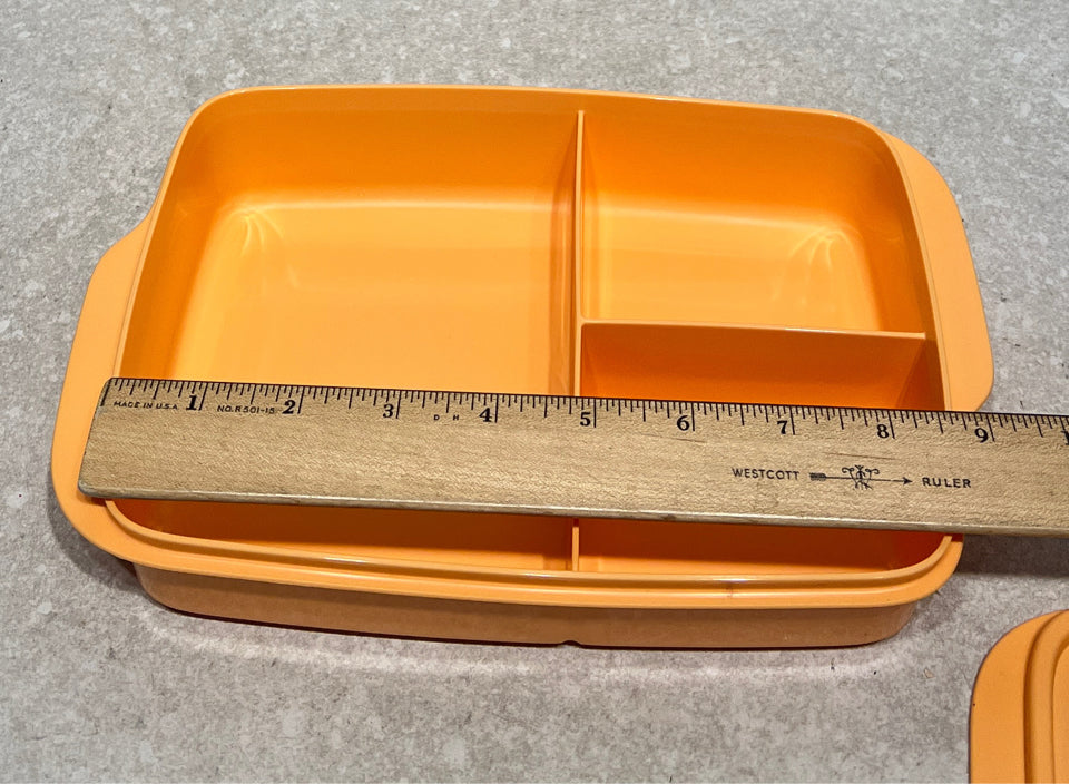 Tupperware Continer