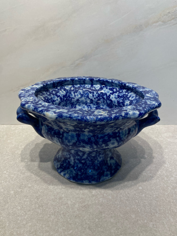Blue Footed Bowl