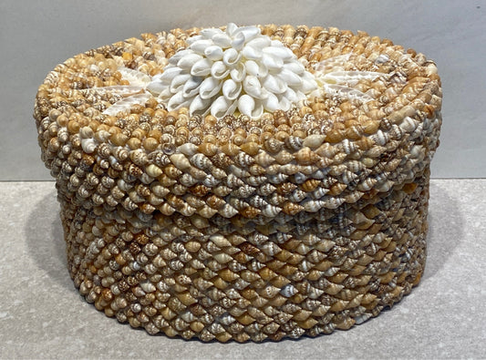 Shell Box