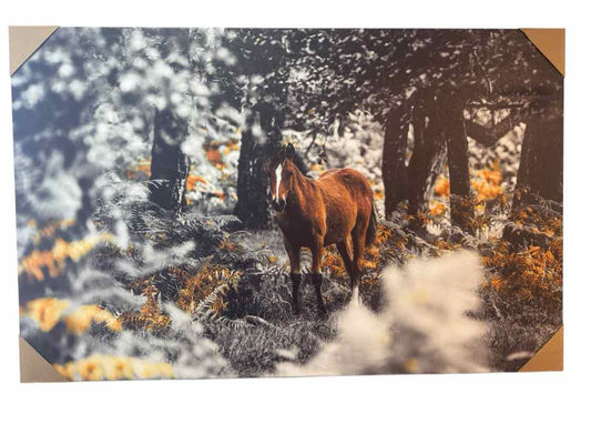 Horse Canvas