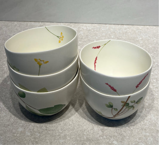 Set of 5 Bowls