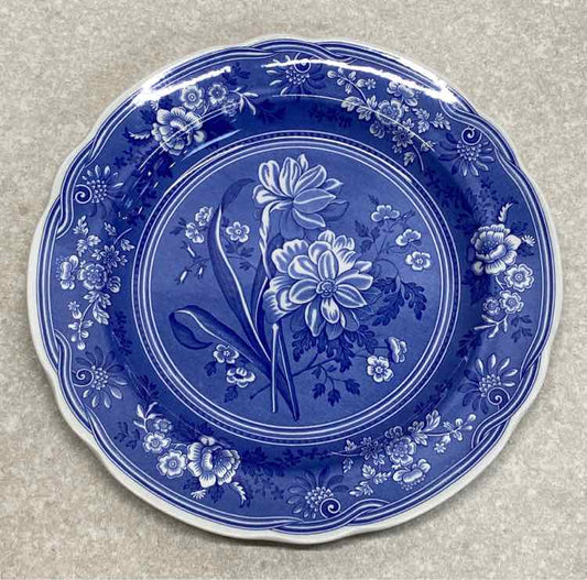 Spode Plate