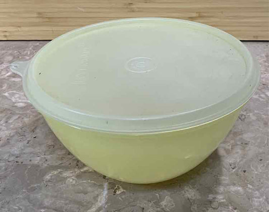 Covered Tupperware Bowl