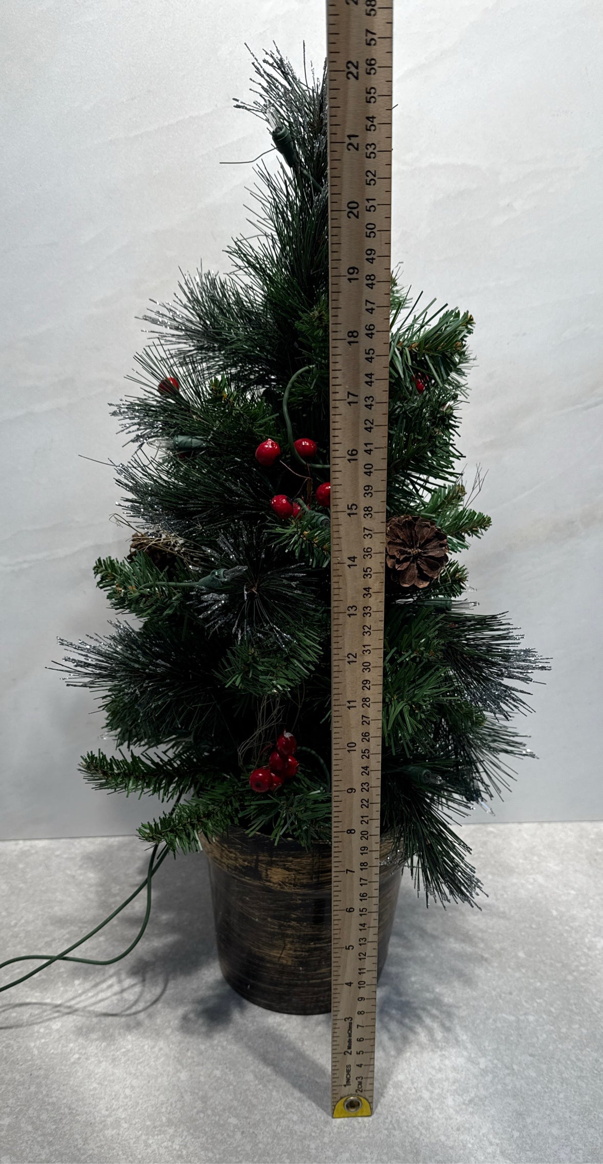 Lighted Tree