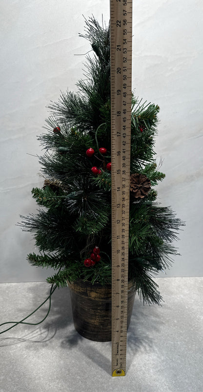 Lighted Tree