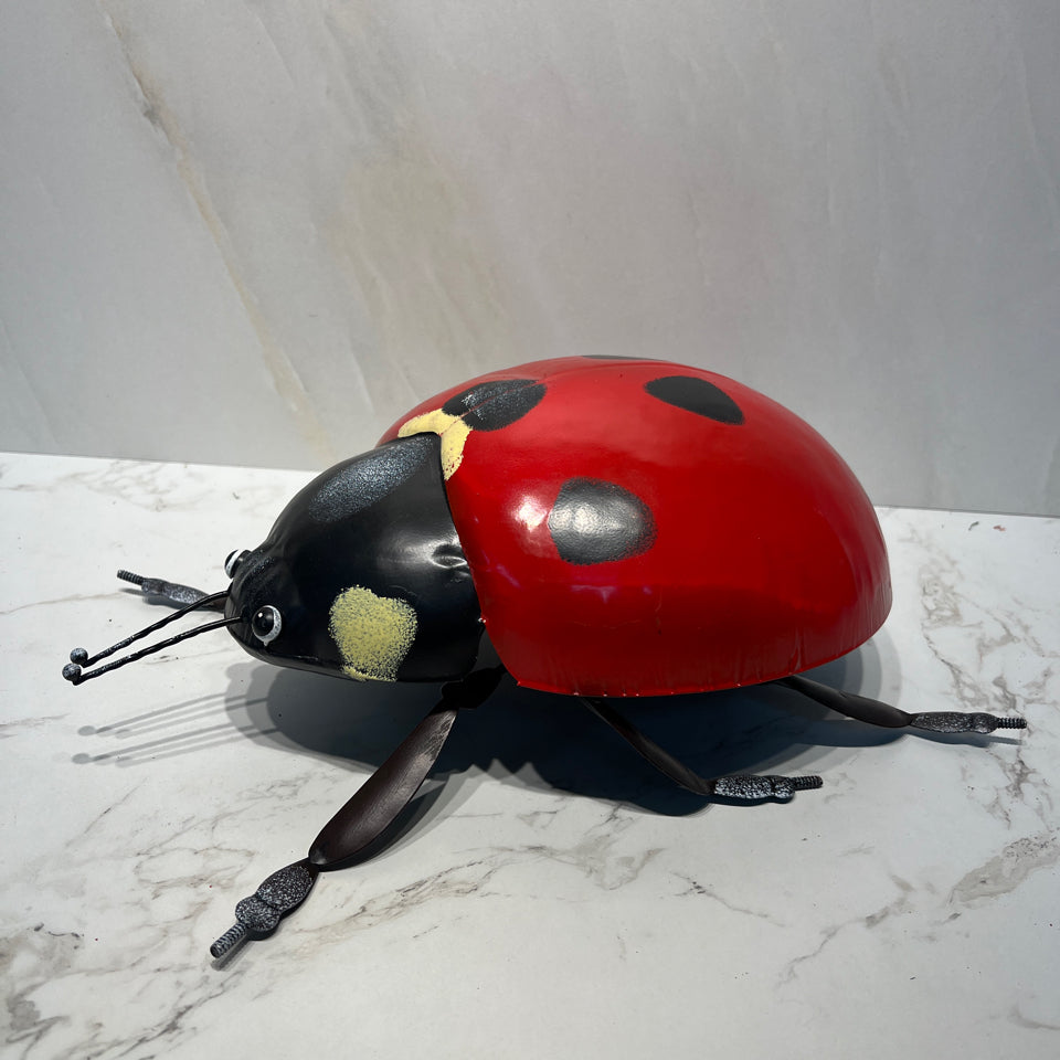 Ladybug