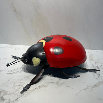 Ladybug