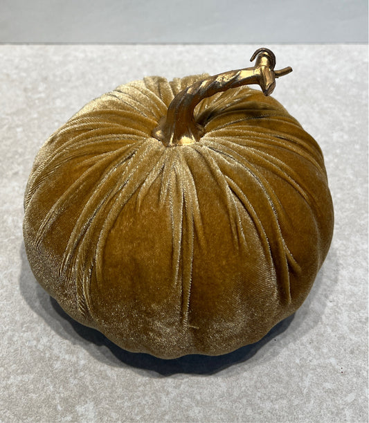 Pumpkin
