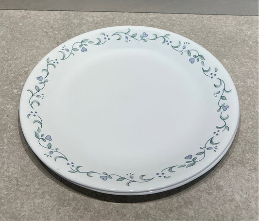Set of 2 Corelle Dinner Plates