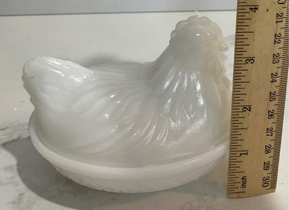 Covered Hen on Nest