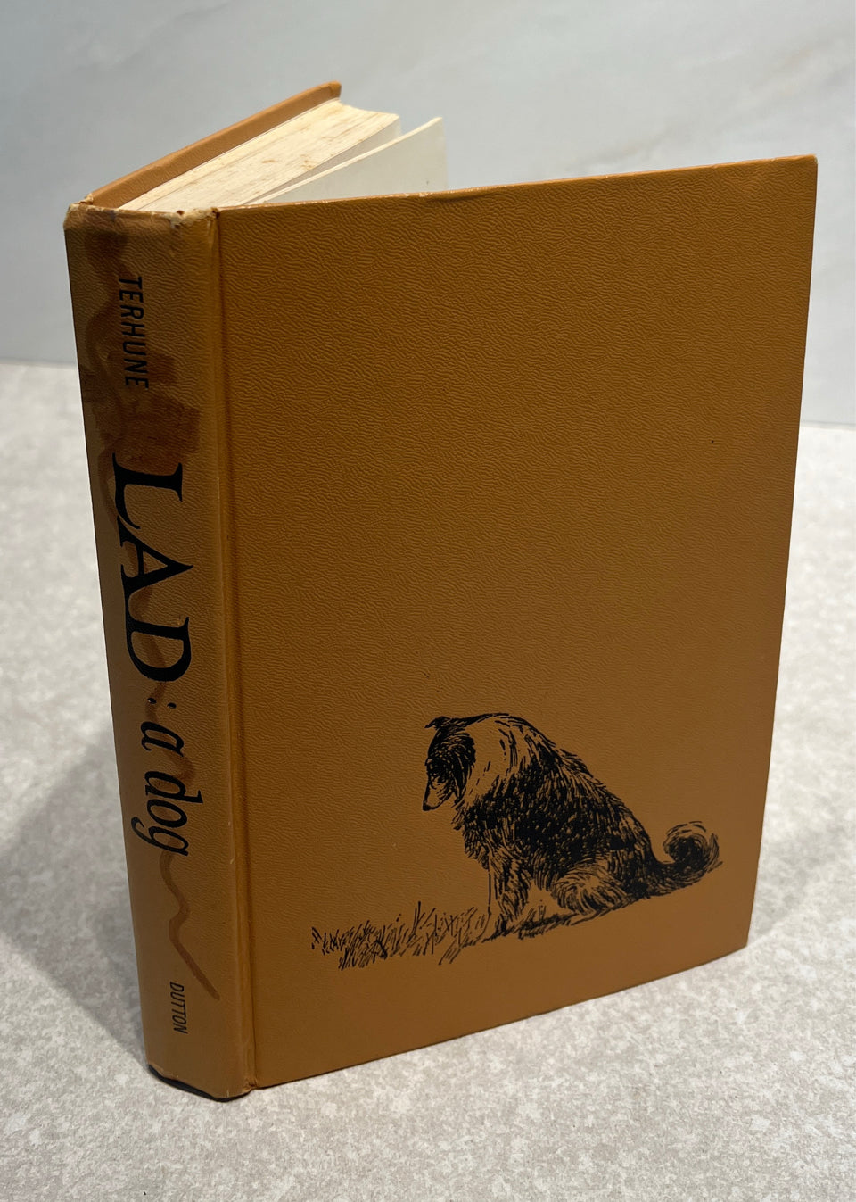 Old Book