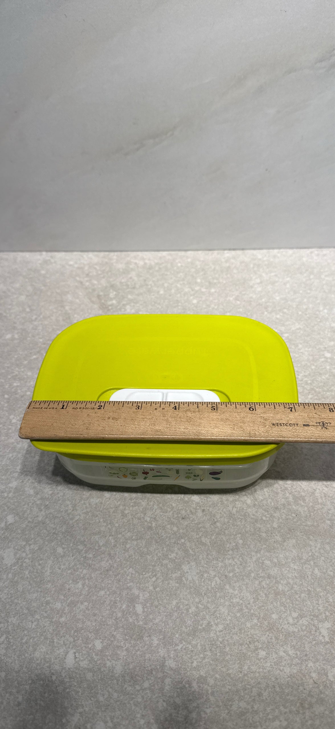 Tupperware Container