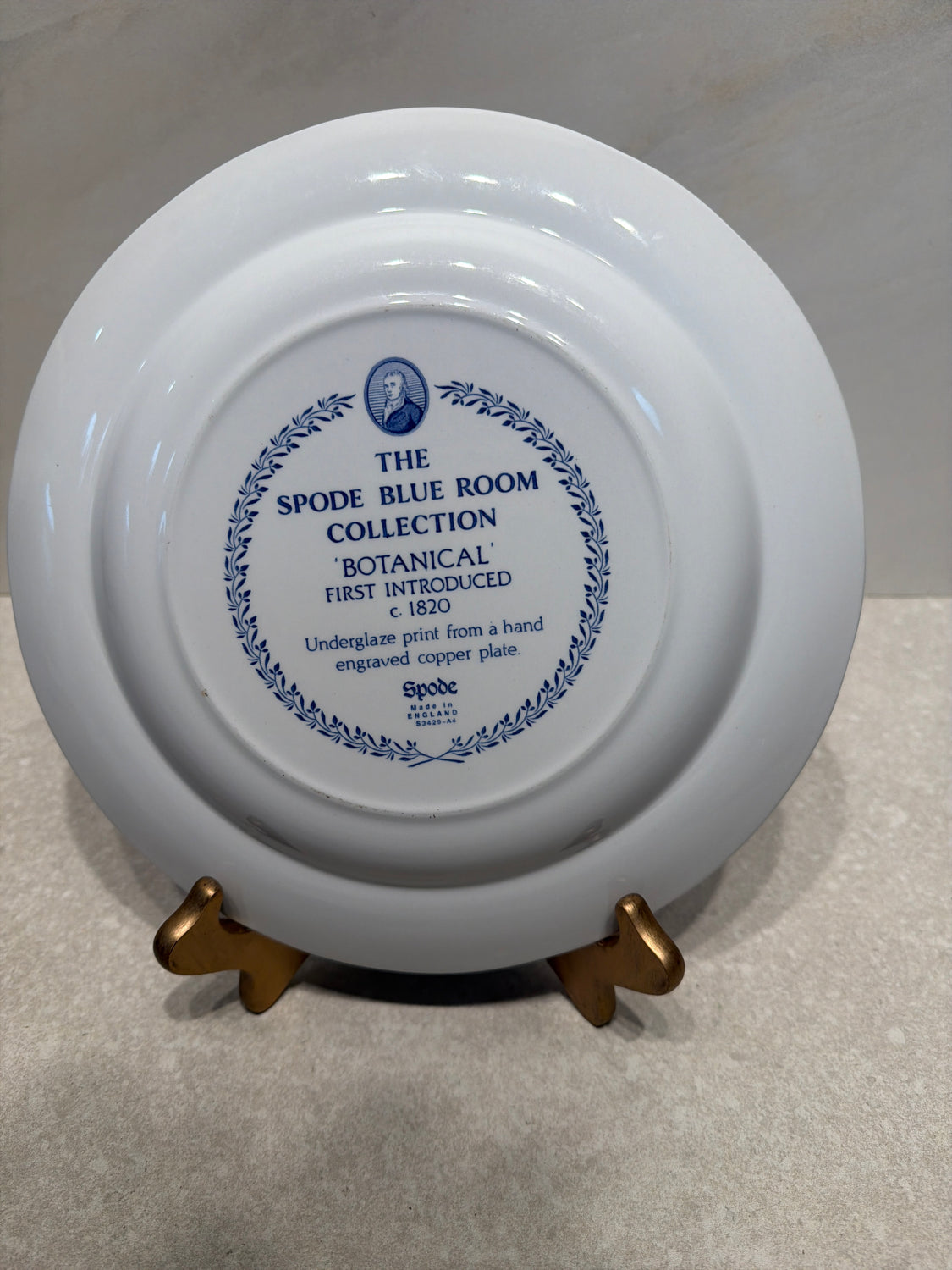 10" Spode Plate