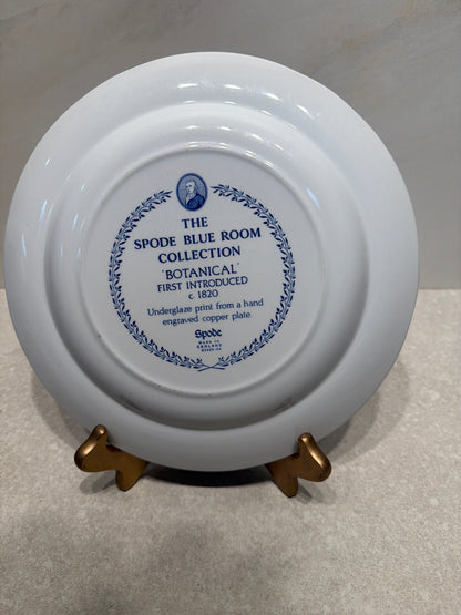 10" Spode Plate