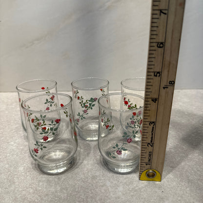Set of 5 Juice Glasses