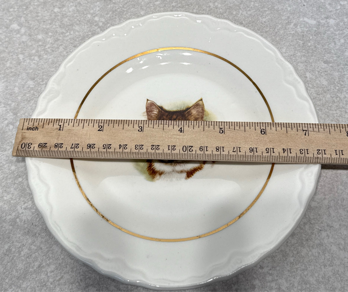 Decorativecat Plate