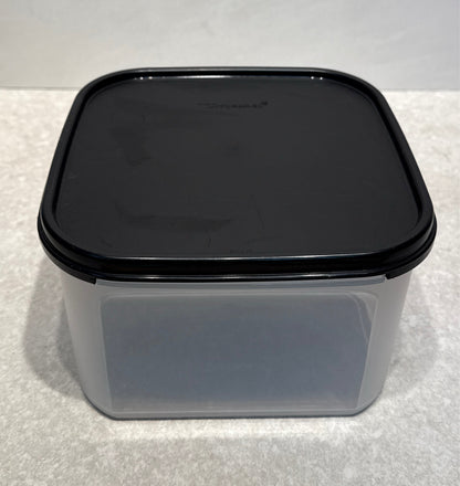 Tupperware Covered Container