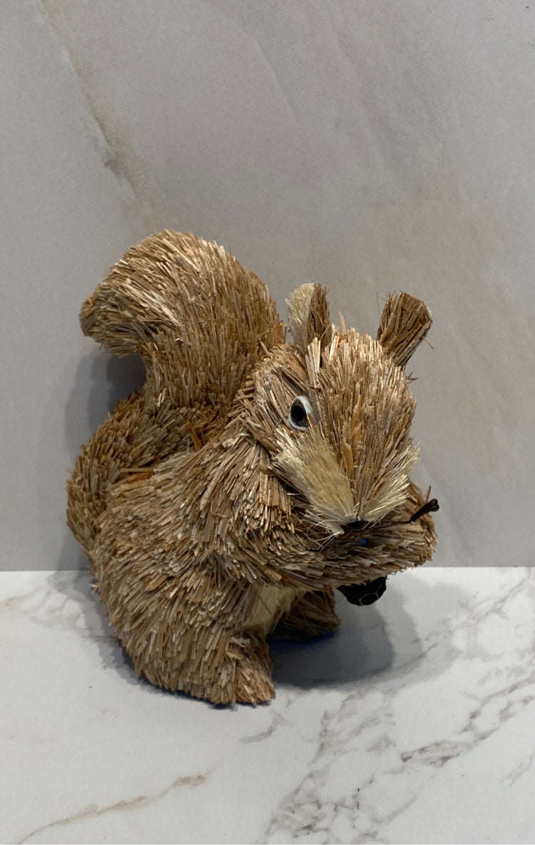 Squirrel