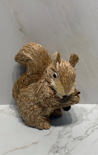 Squirrel
