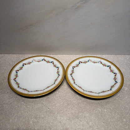 Set of 2 Bvaria Plates