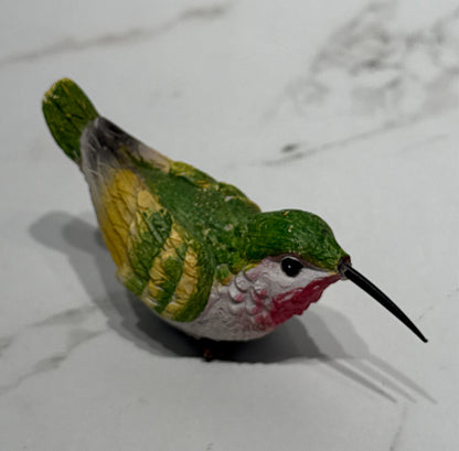 Bird