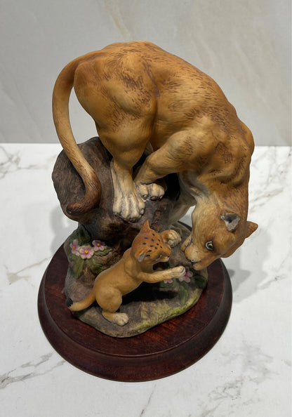 Mountain Lions