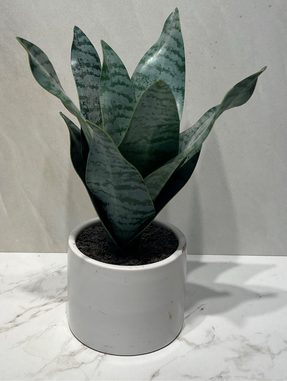 Artiifcal Decor
