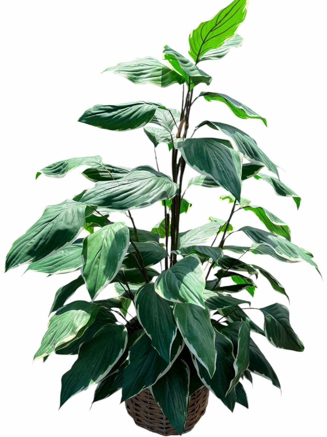 Artificial Plant