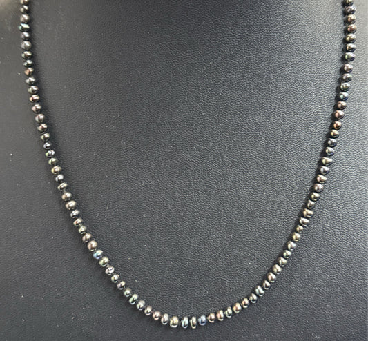 Sterling Clasp Necklace