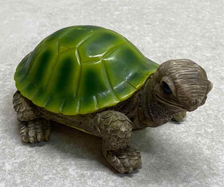 Turtle