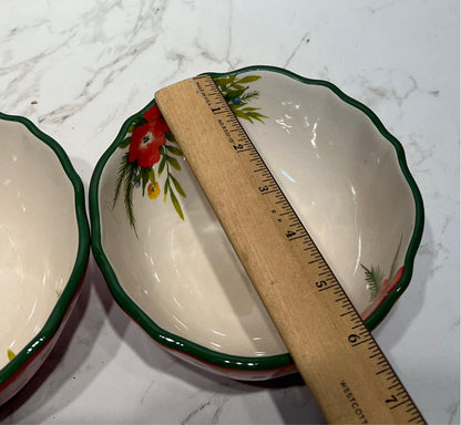 Set of 2 Pioneer Woman Bowls