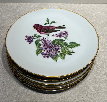 Set of 6 Bavaria Plates