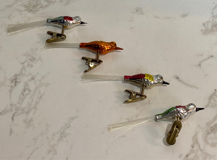 Bird Clips