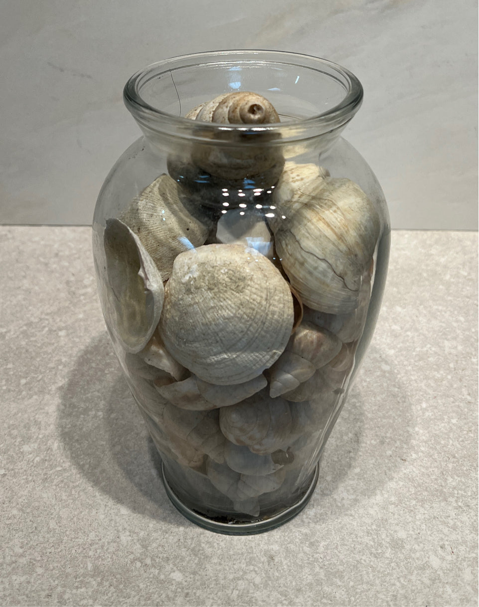Jar of Shells
