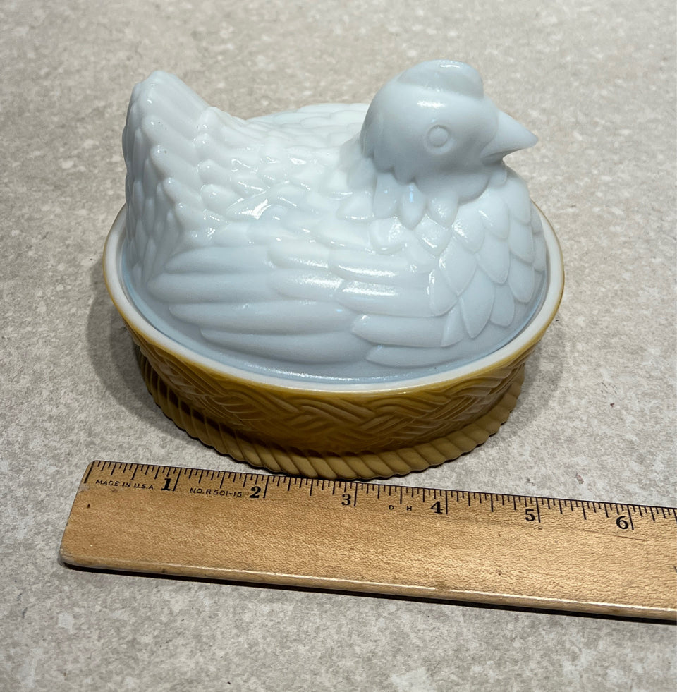 Hen on Nest