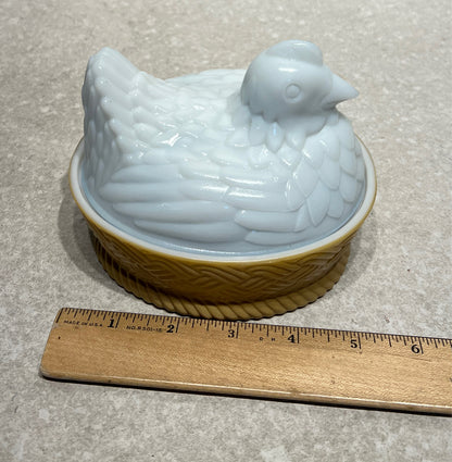 Hen on Nest