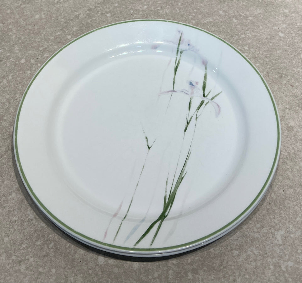 Set of 2 Corelle Dinner Plates