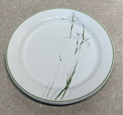Set of 2 Corelle Dinner Plates