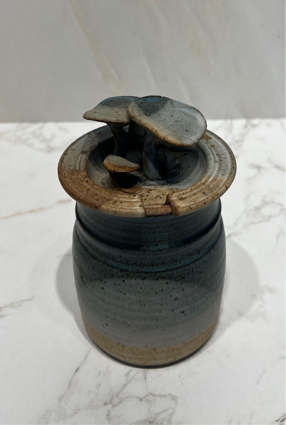 Mushroom Covered Jar