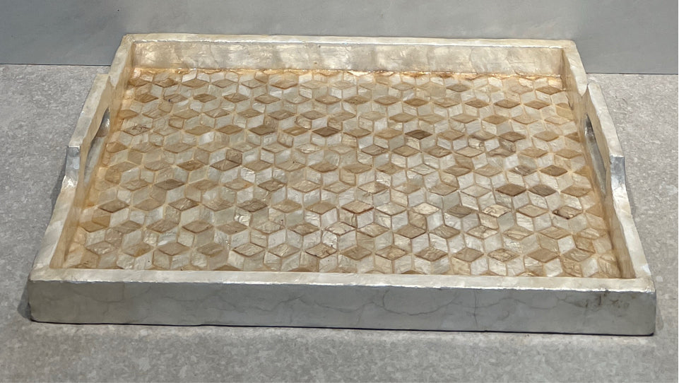 Handled Tray