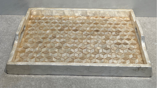 Handled Tray
